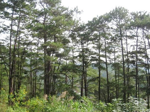 Lạng Sơn